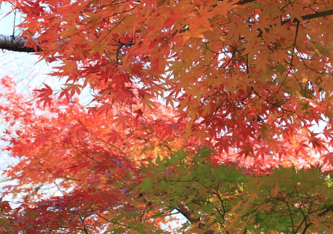 ホテル 楽山やすだ 伊豆の国市 エクステリア 写真